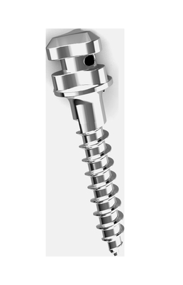 Westlake Orthodontic Mini Screws Titanium Alloy 1.4x6 1.4x8 1.6x10 1.4x12